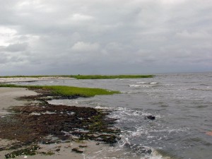 Source: usfwsnortheast / flickr