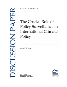 The Crucial Role of Policy Surveillance in International Climate Policy